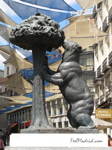 The Bear and the Strawberry Tree - El Oso y el Madroño